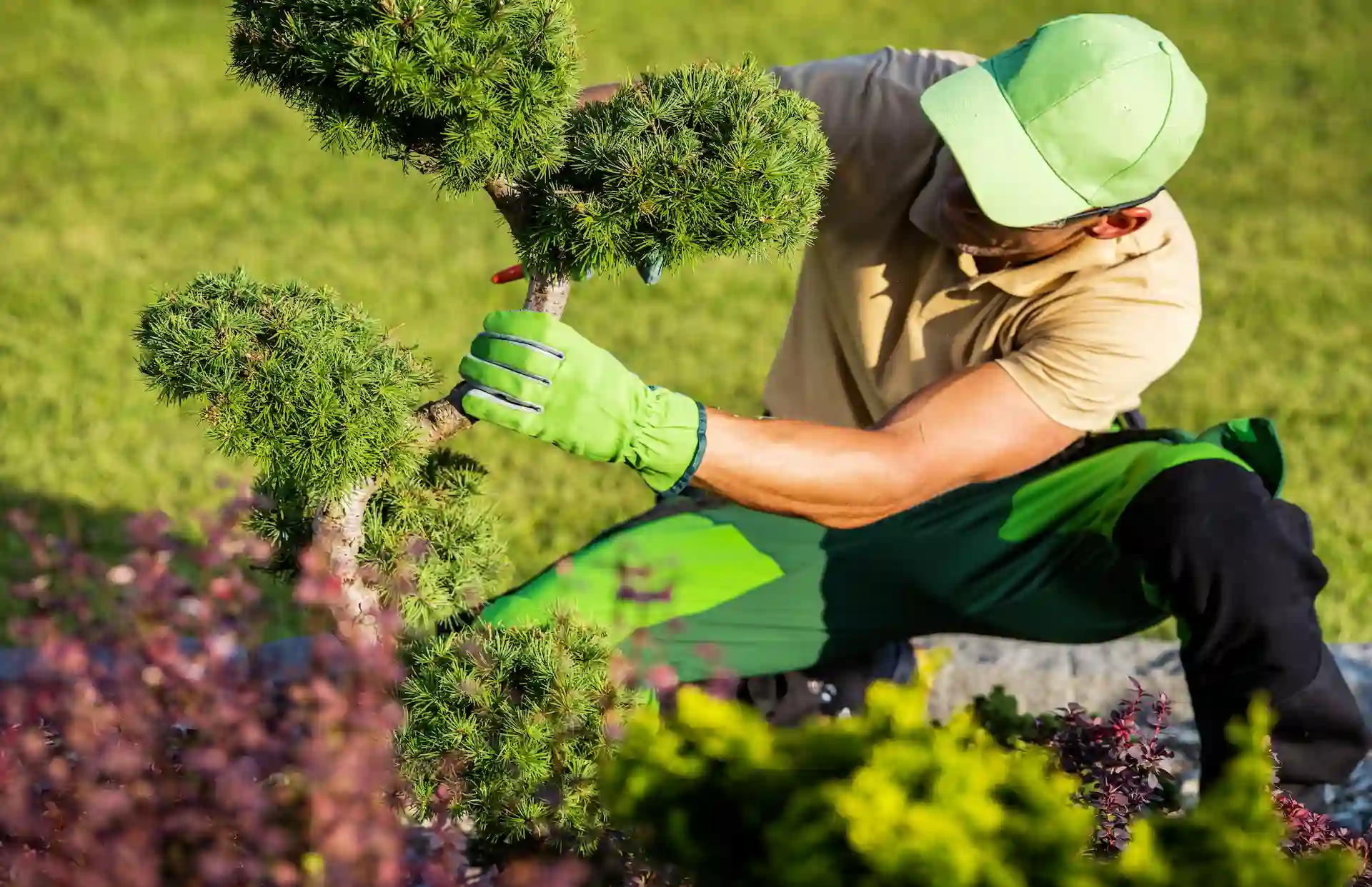 entretien de jardins à Montpellier